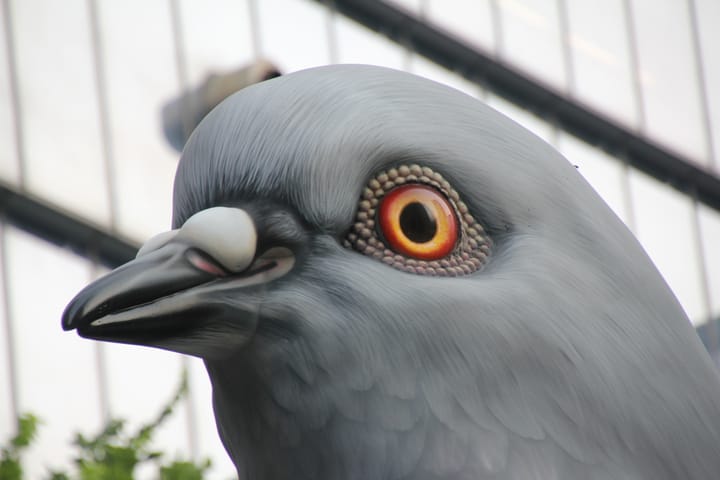 Inside a child's mind...